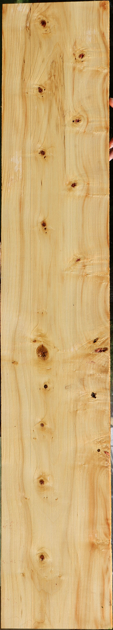 Figured Box Elder Lumber