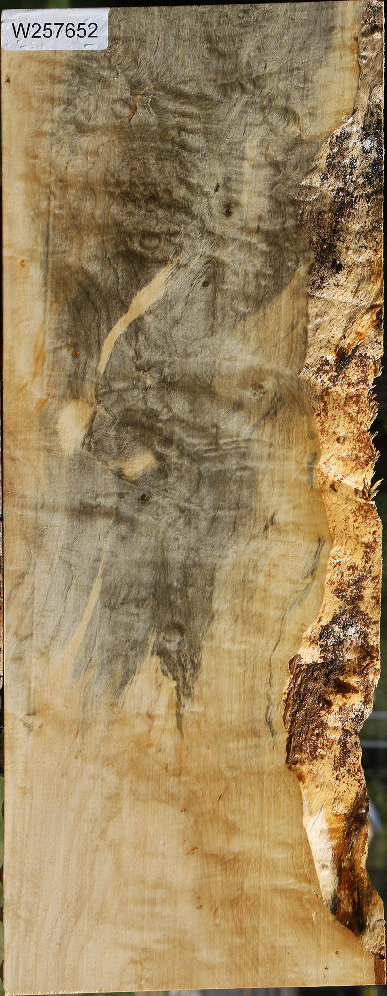 Extra Fancy Box Elder Live Edge Lumber