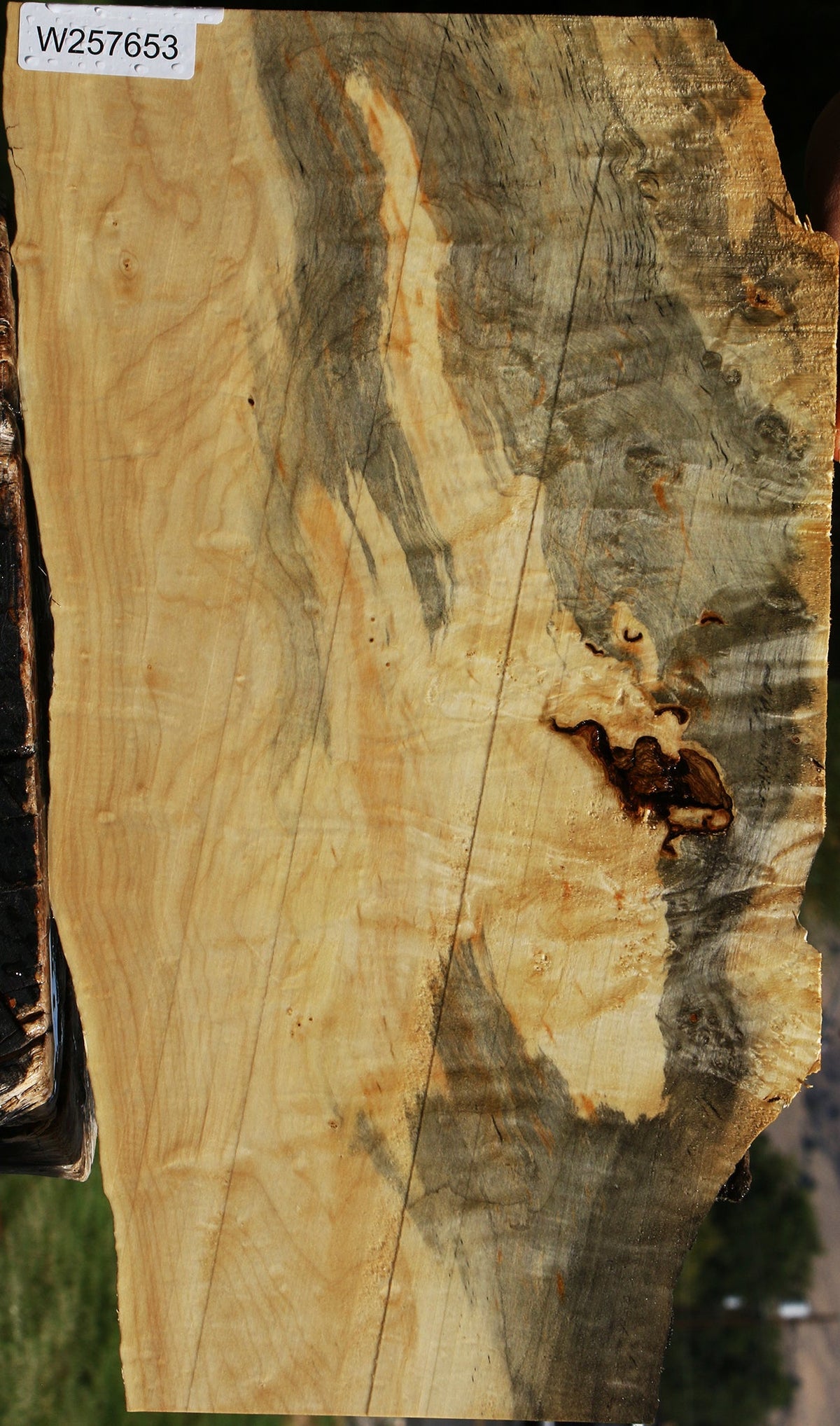 Extra Fancy Box Elder Live Edge Lumber
