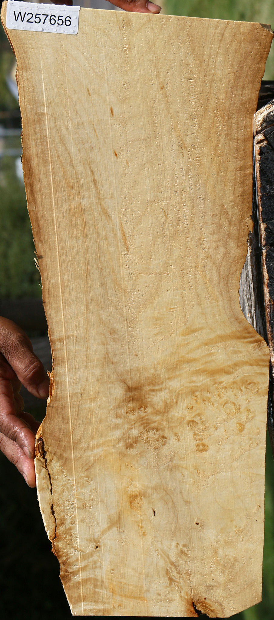 Extra Fancy Box Elder Live Edge Lumber