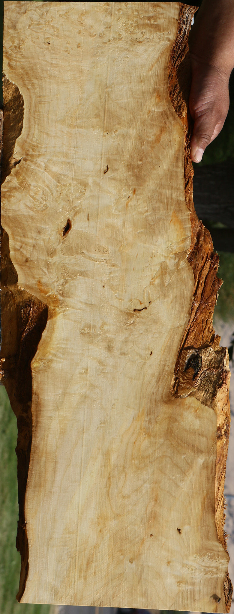 Extra Fancy Box Elder Live Edge Lumber