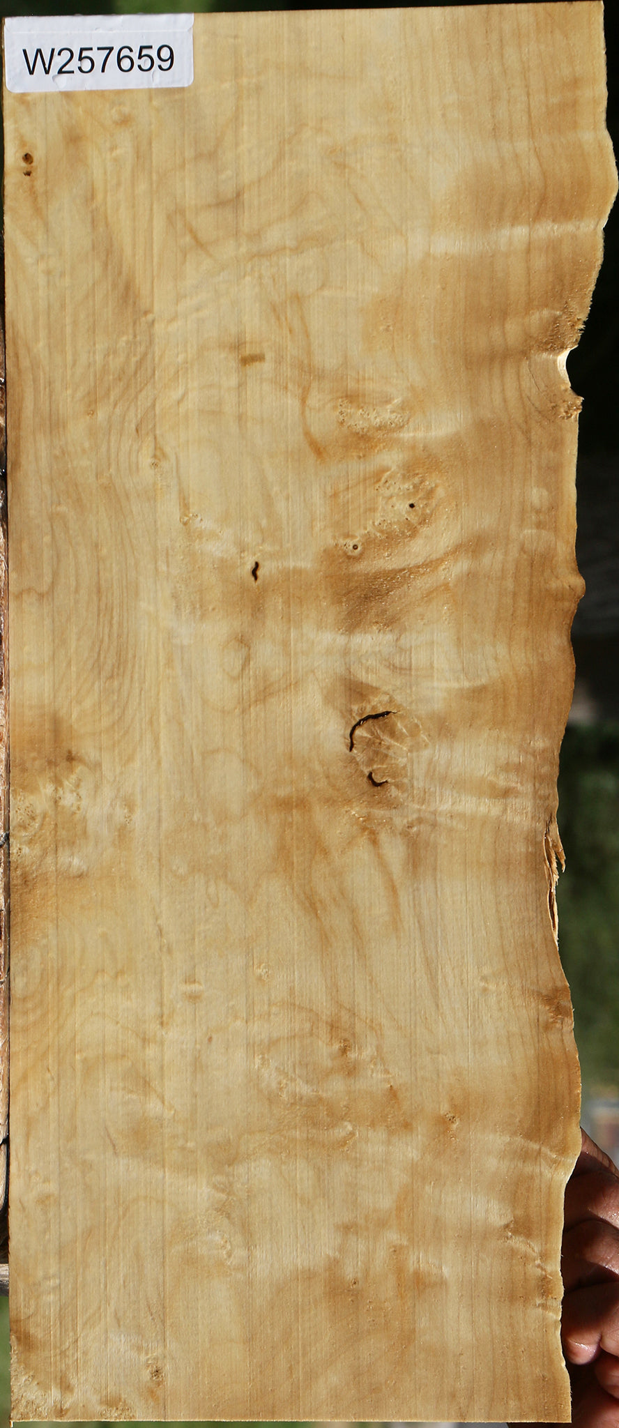 Figured Box Elder Live Edge Lumber