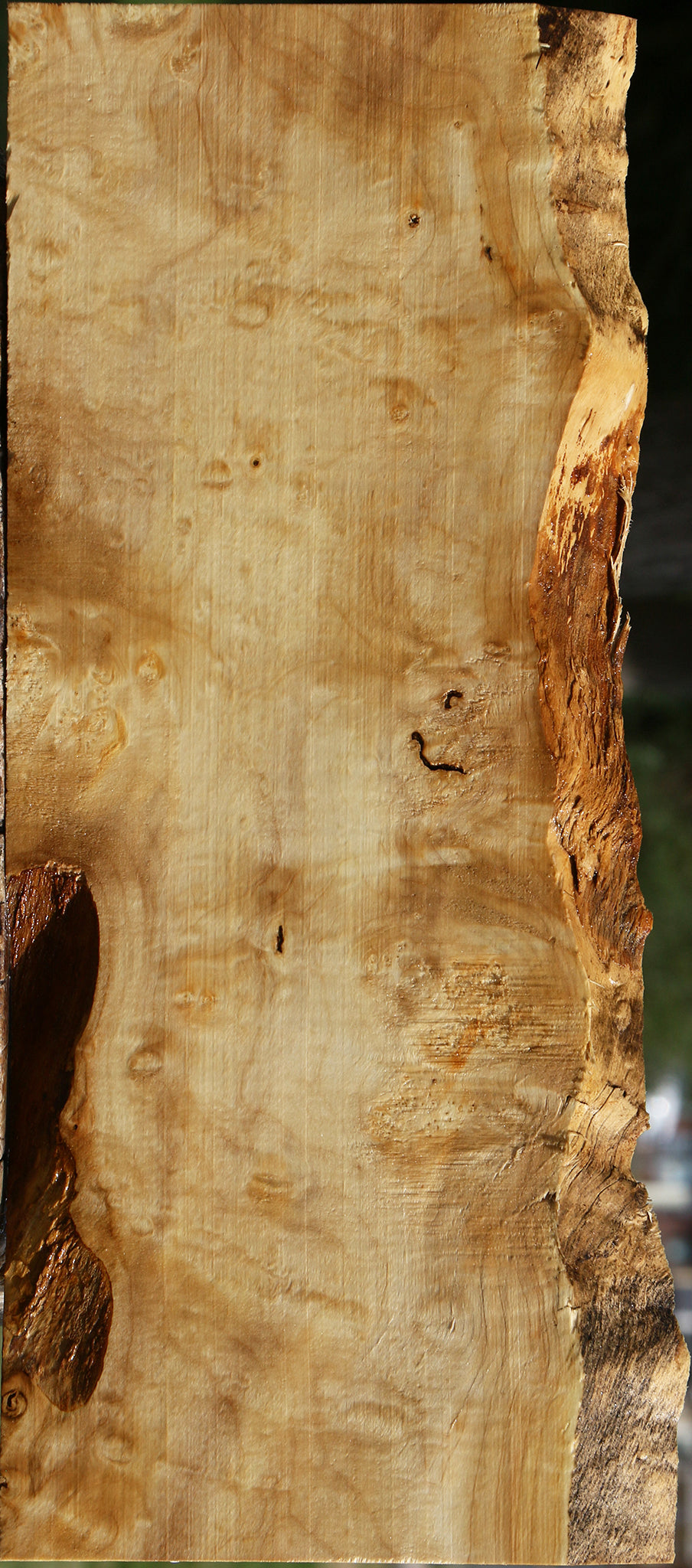 Figured Box Elder Live Edge Lumber