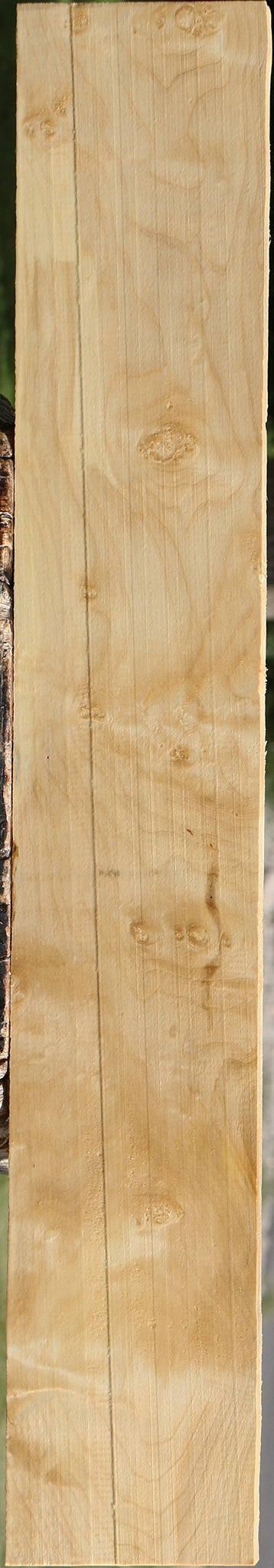 Box Elder Lumber