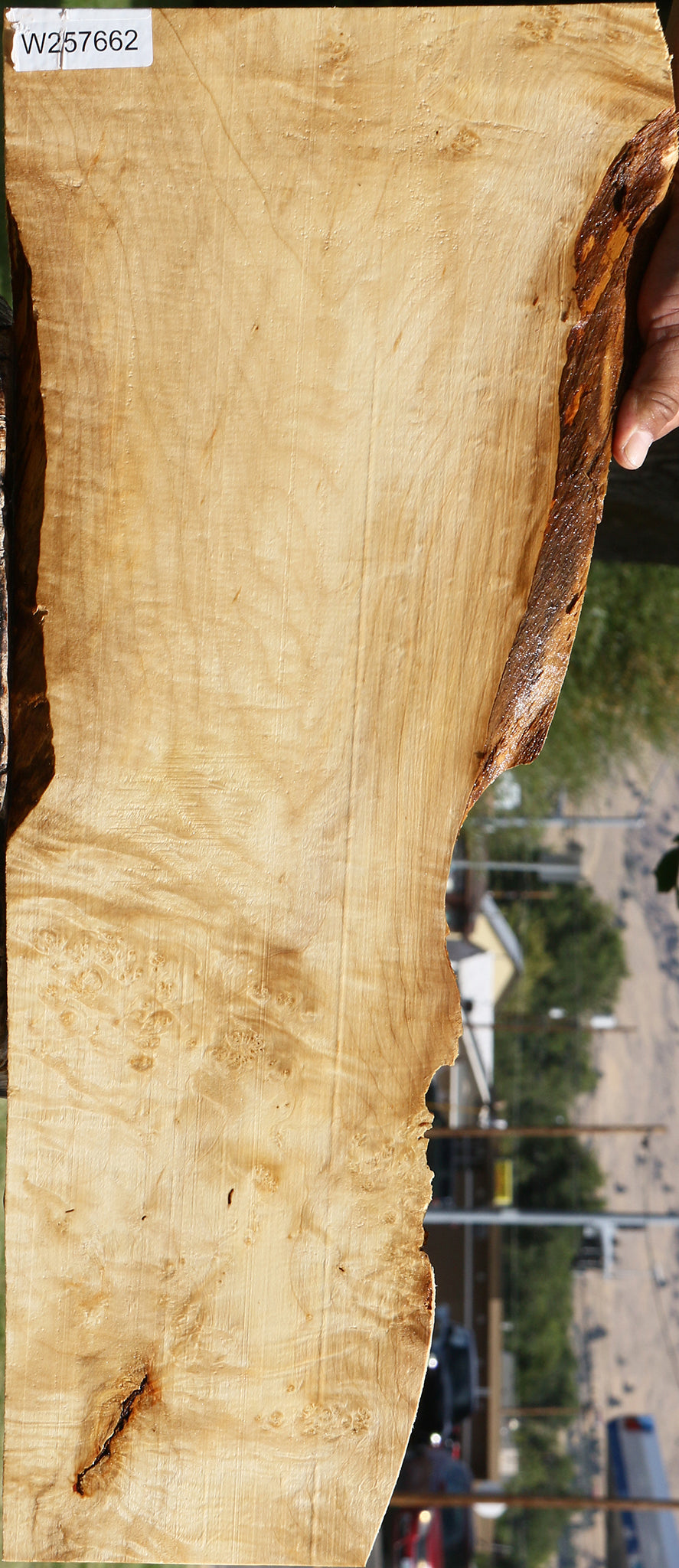 Figured Box Elder Live Edge Lumber