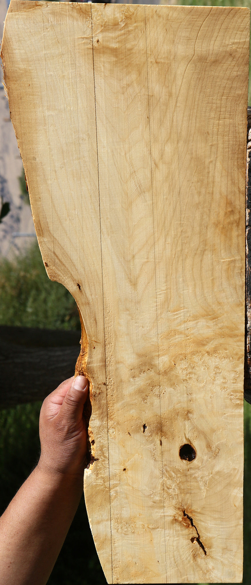 Figured Box Elder Live Edge Lumber