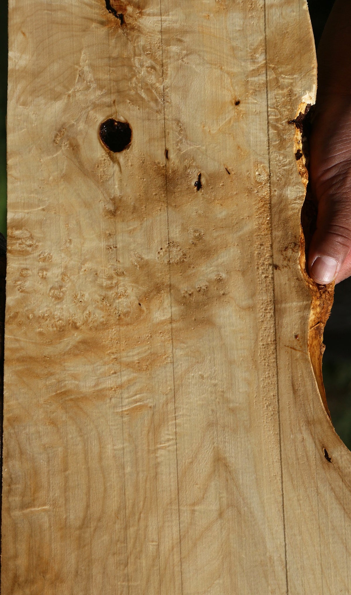 Figured Box Elder Live Edge Lumber