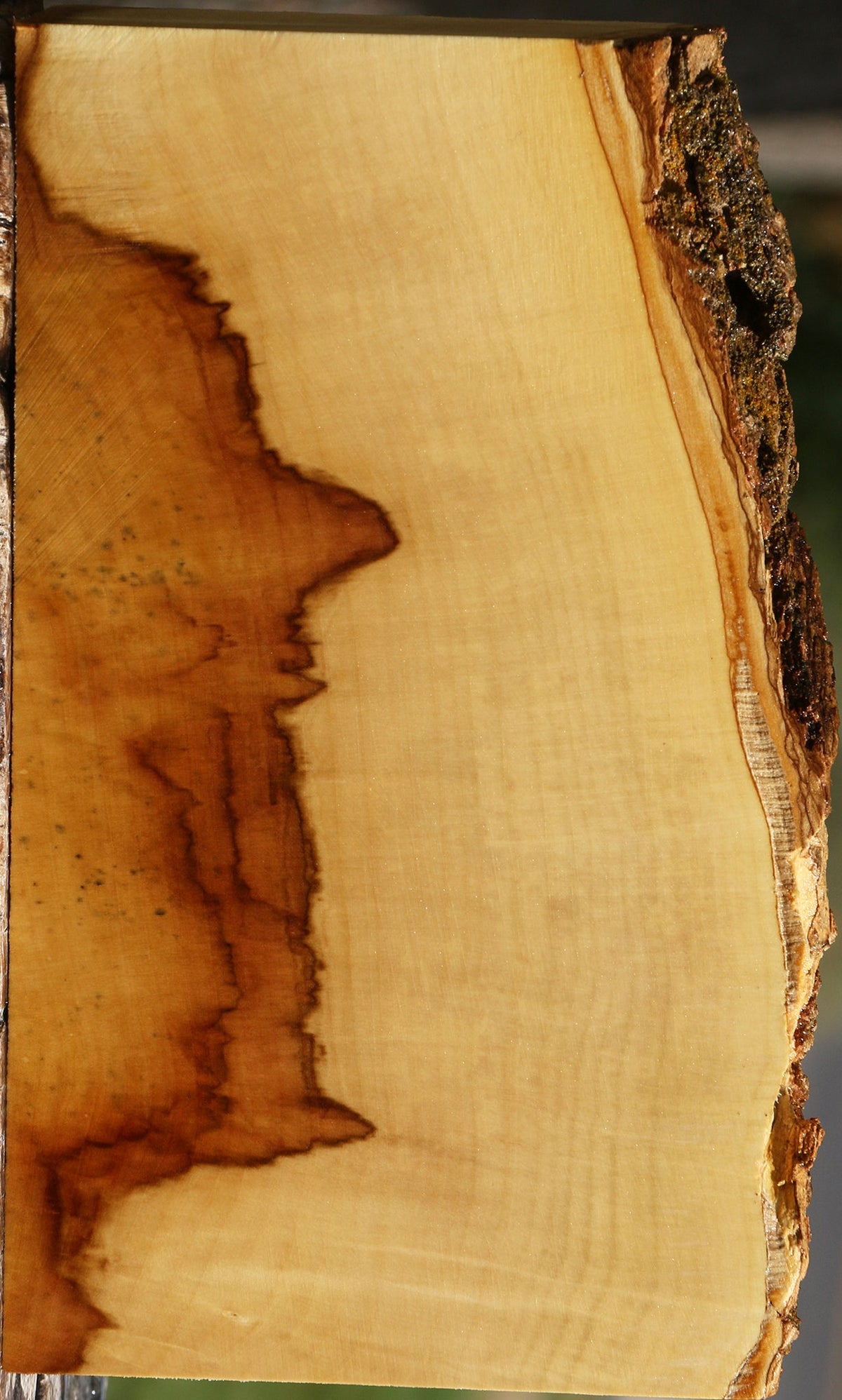 Box Elder Live Edge Lumber
