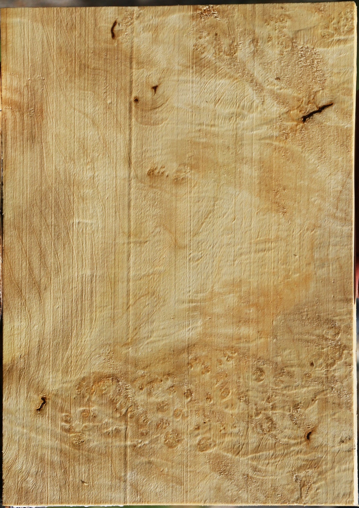 Extra Fancy Box Elder Lumber