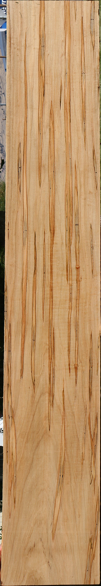 Figured Ambrosia Maple Lumber