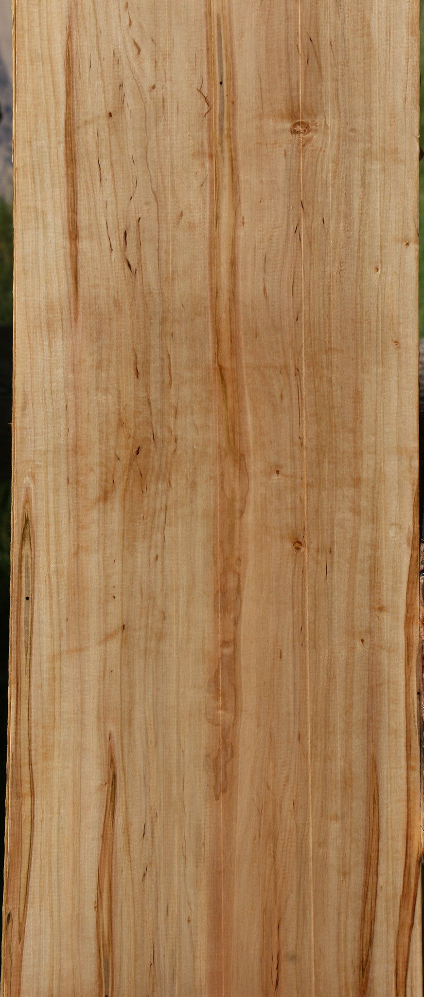 Figured Ambrosia Maple Lumber