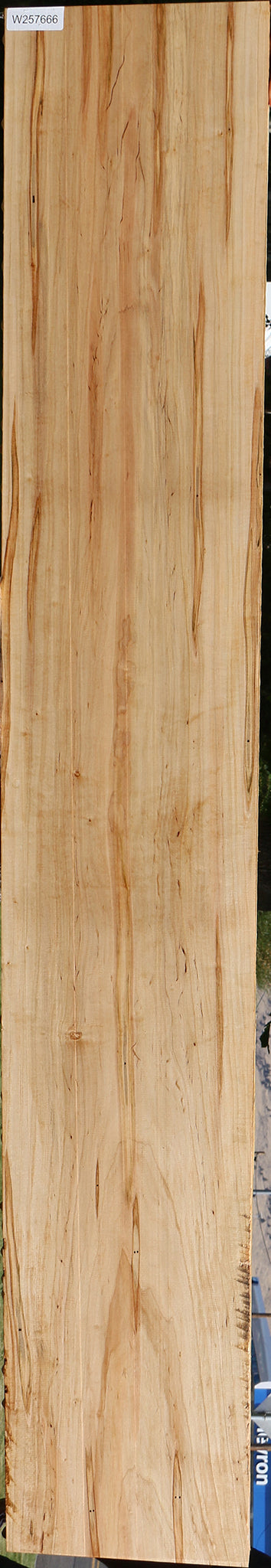 Figured Ambrosia Maple Lumber