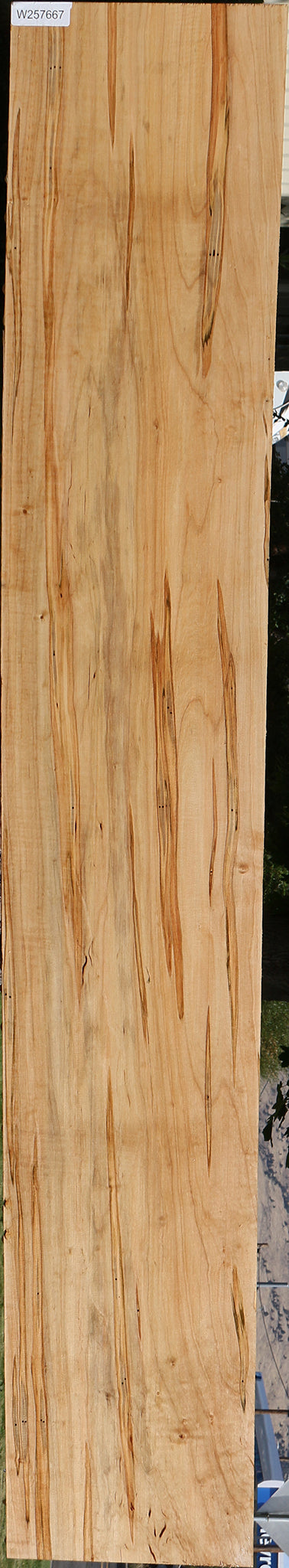 Ambrosia Maple Lumber