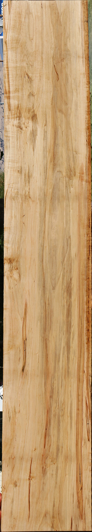 Ambrosia Maple Lumber