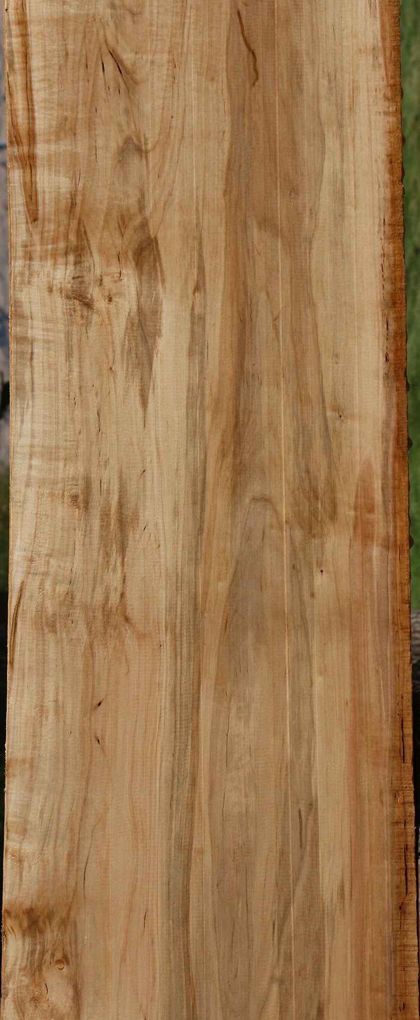 Ambrosia Maple Lumber