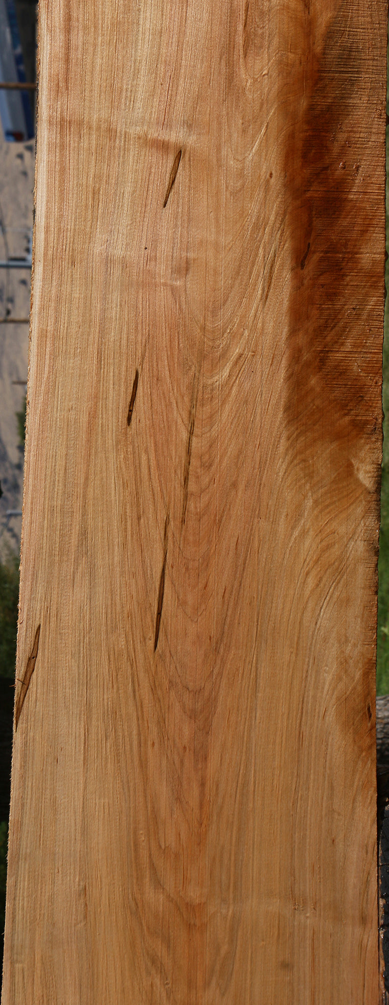 Figured Ambrosia Maple Lumber