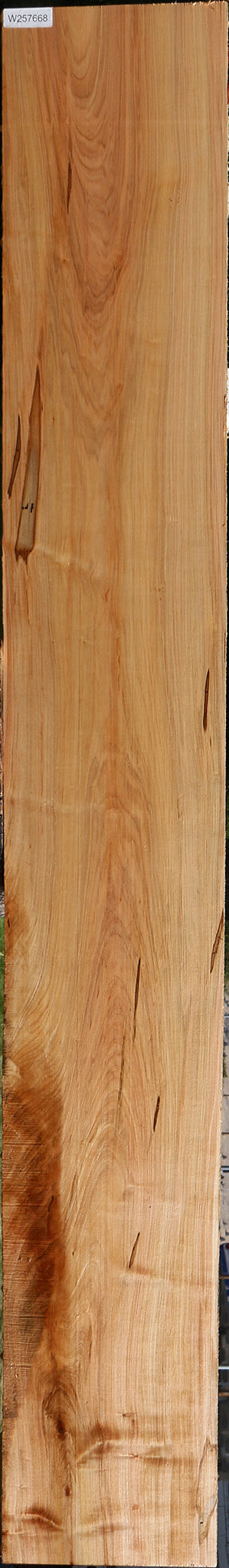 Figured Ambrosia Maple Lumber