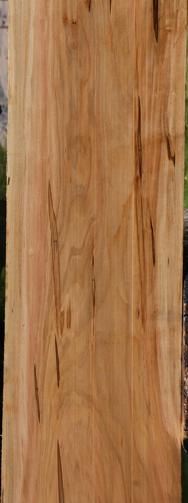 Figured Ambrosia Maple Lumber