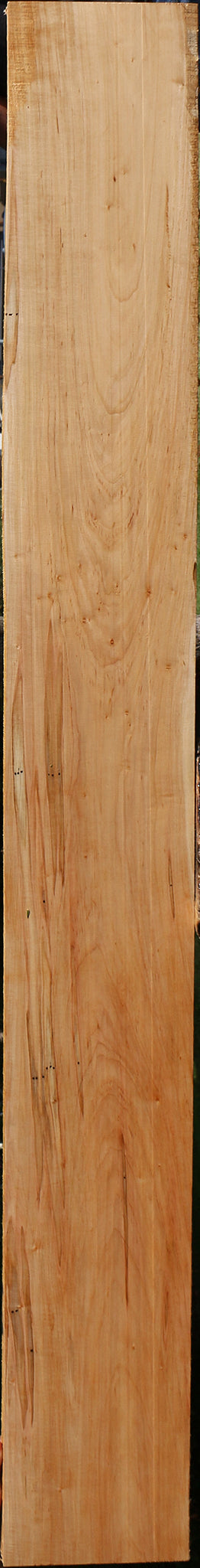 Ambrosia Maple Lumber