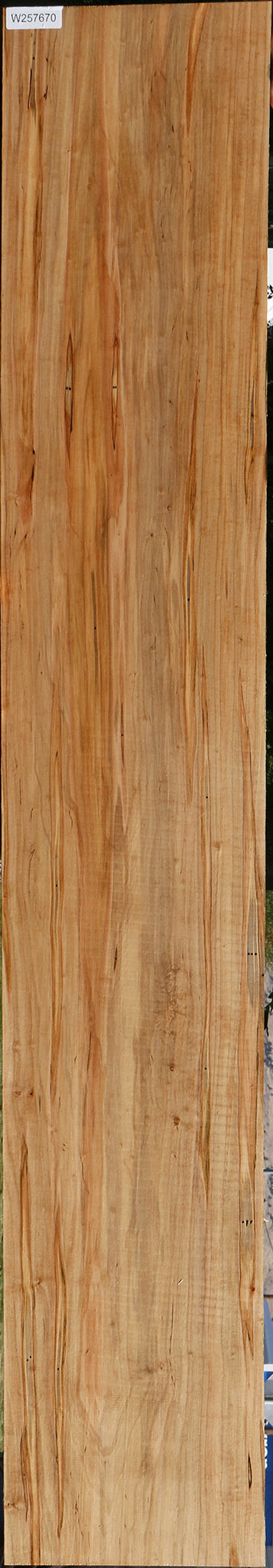 Ambrosia Maple Lumber