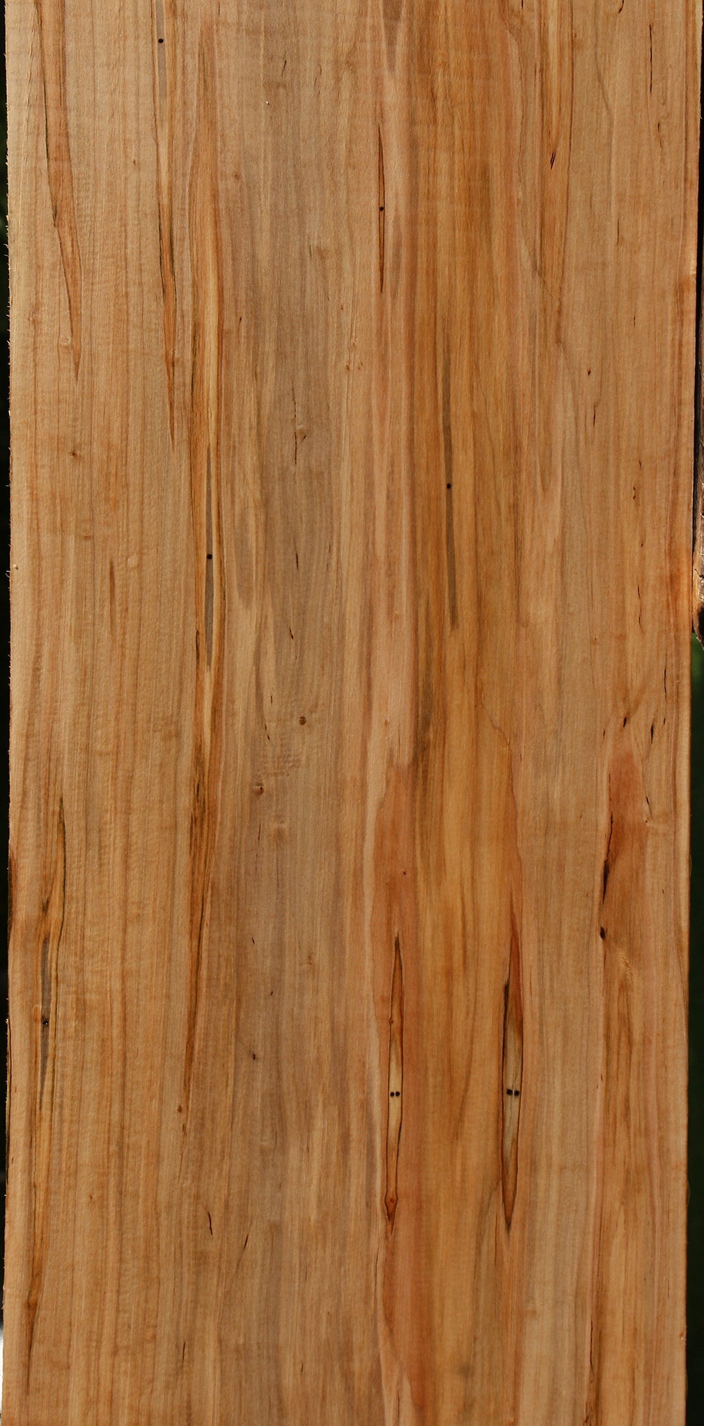Ambrosia Maple Lumber