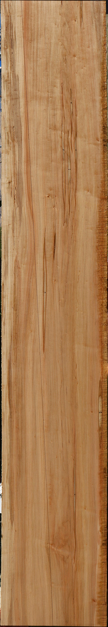 Ambrosia Maple Lumber