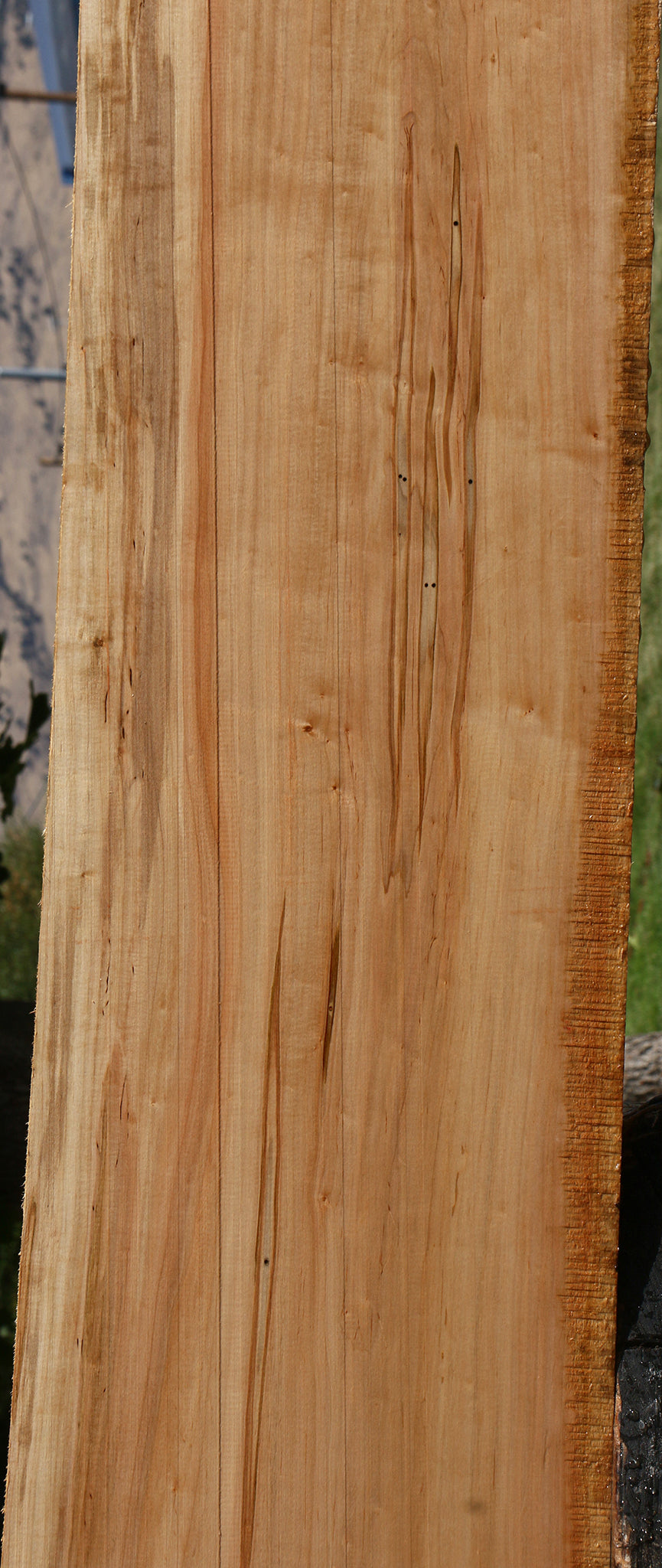 Ambrosia Maple Lumber