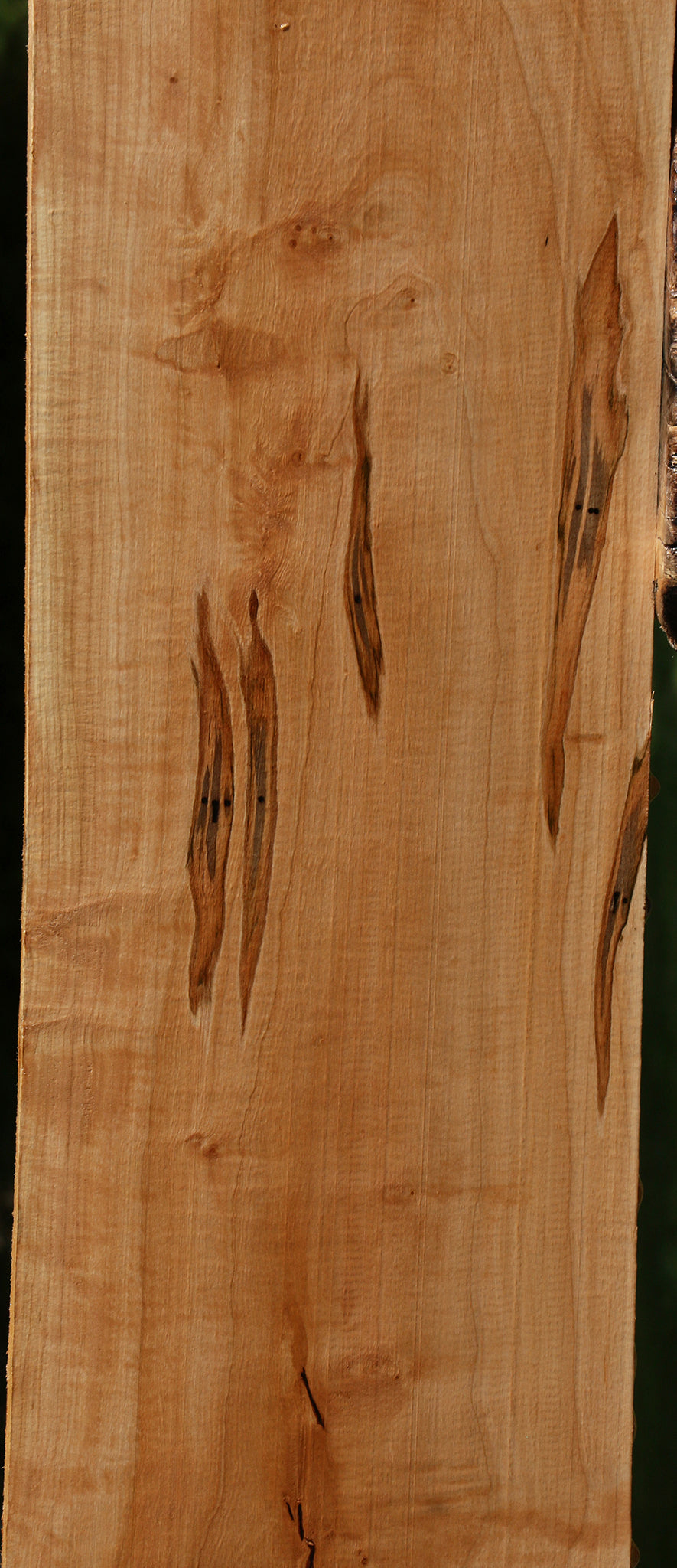 Figured Ambrosia Maple Lumber