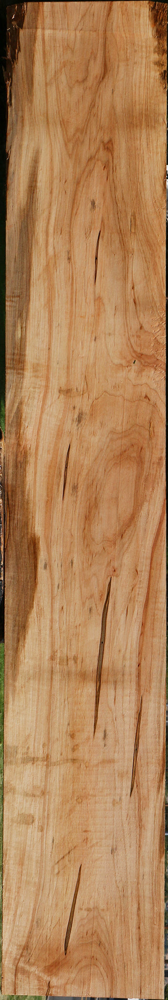 Ambrosia Maple Lumber