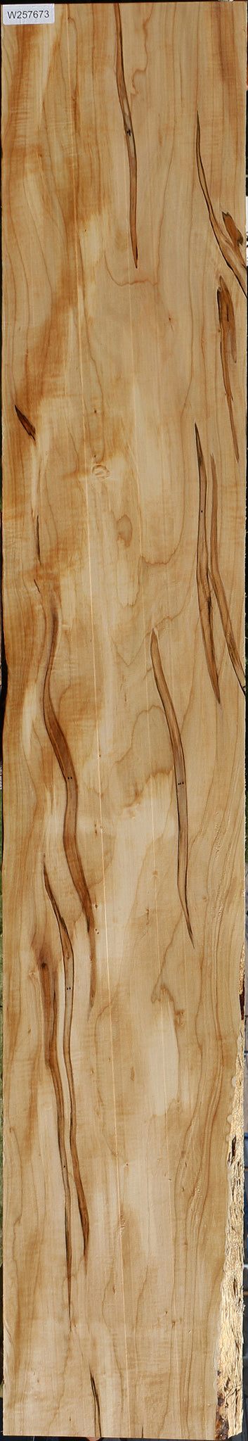 Figured Ambrosia Maple Lumber