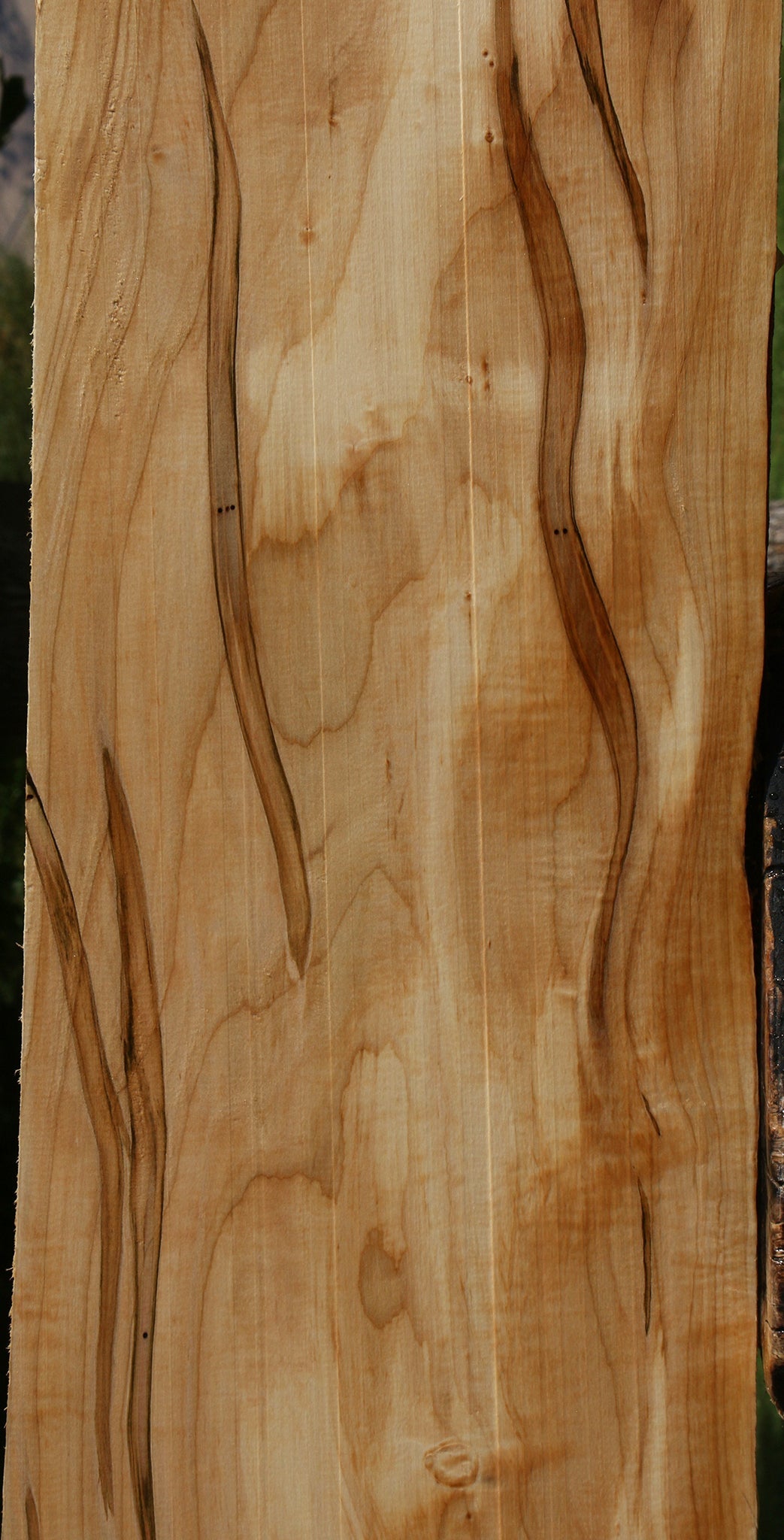 Figured Ambrosia Maple Lumber