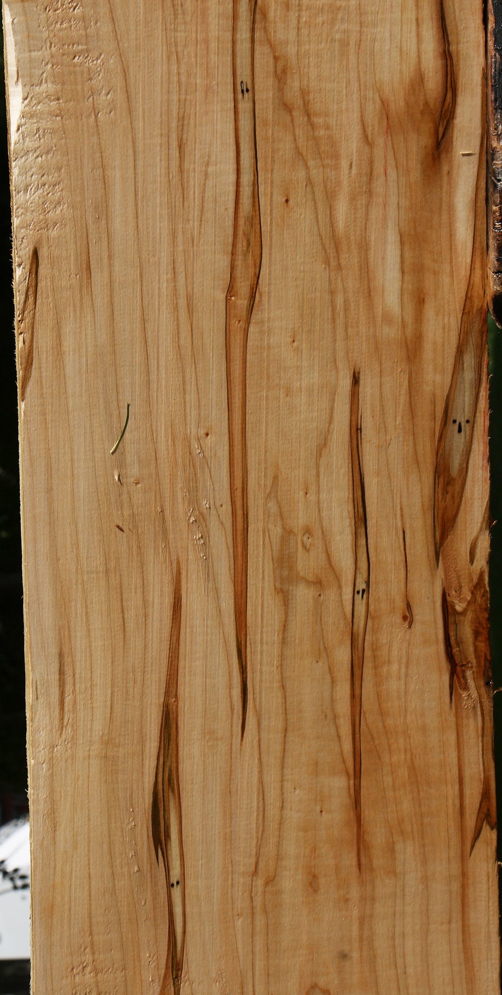 Figured Ambrosia Maple Lumber