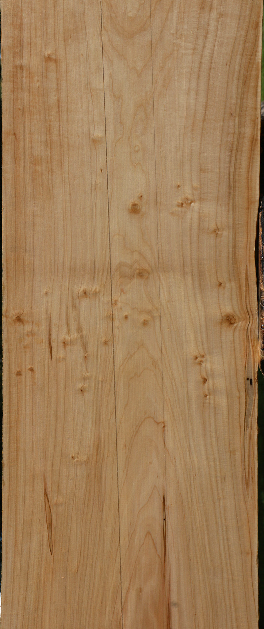 Ambrosia Maple Lumber