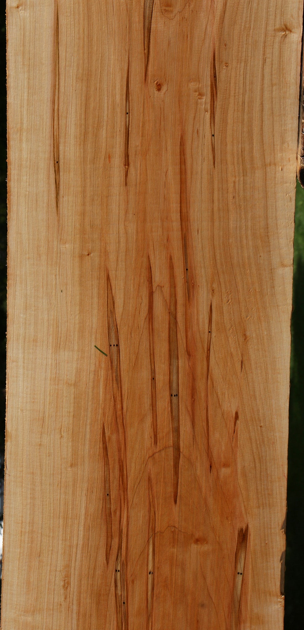 Ambrosia Maple Lumber