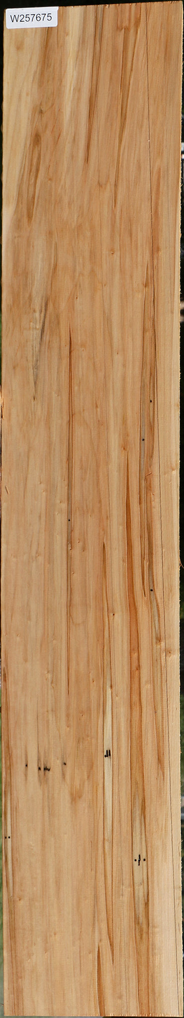 Ambrosia Maple Lumber