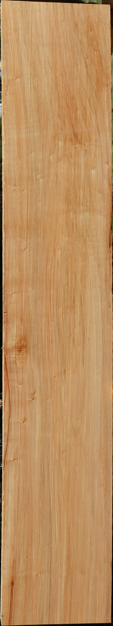 Ambrosia Maple Lumber
