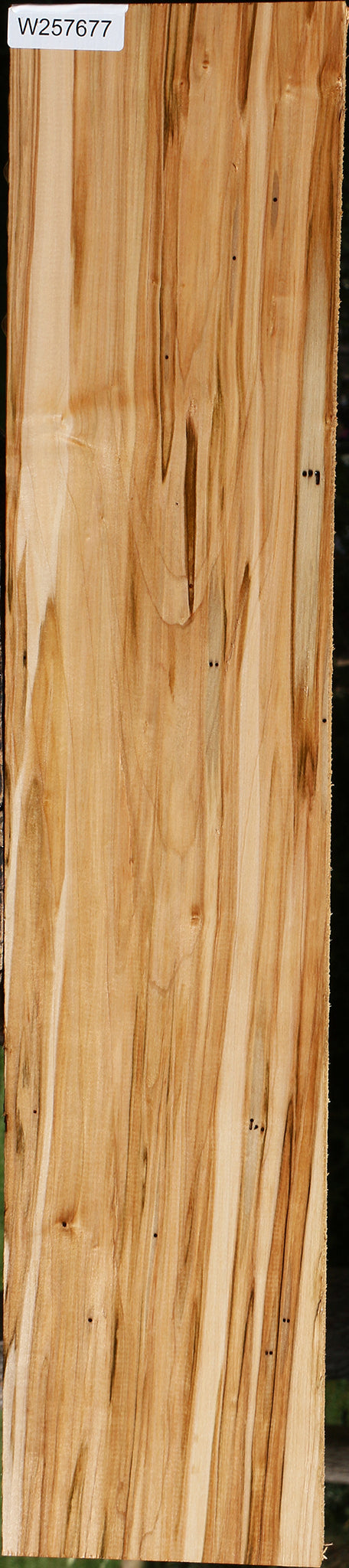 Ambrosia Maple Lumber