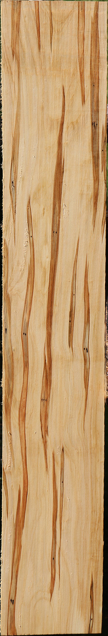 Figured Ambrosia Maple Lumber