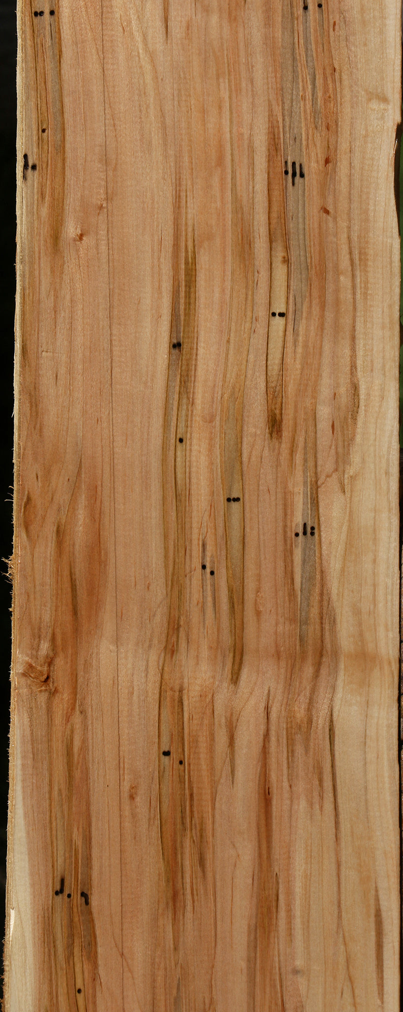 Figured Ambrosia Maple Lumber