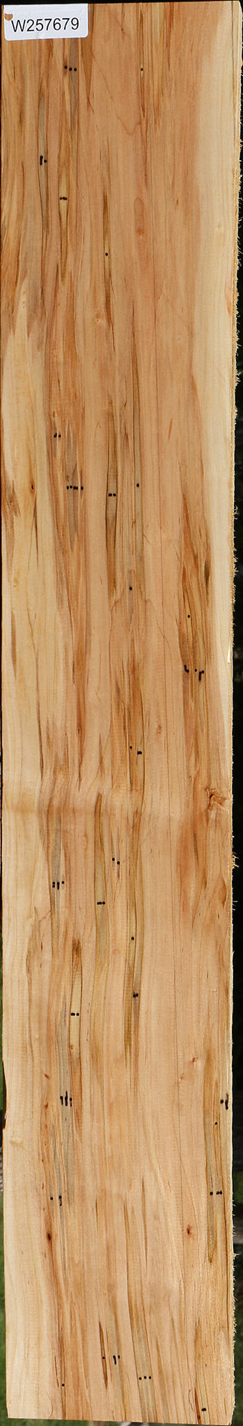 Figured Ambrosia Maple Lumber