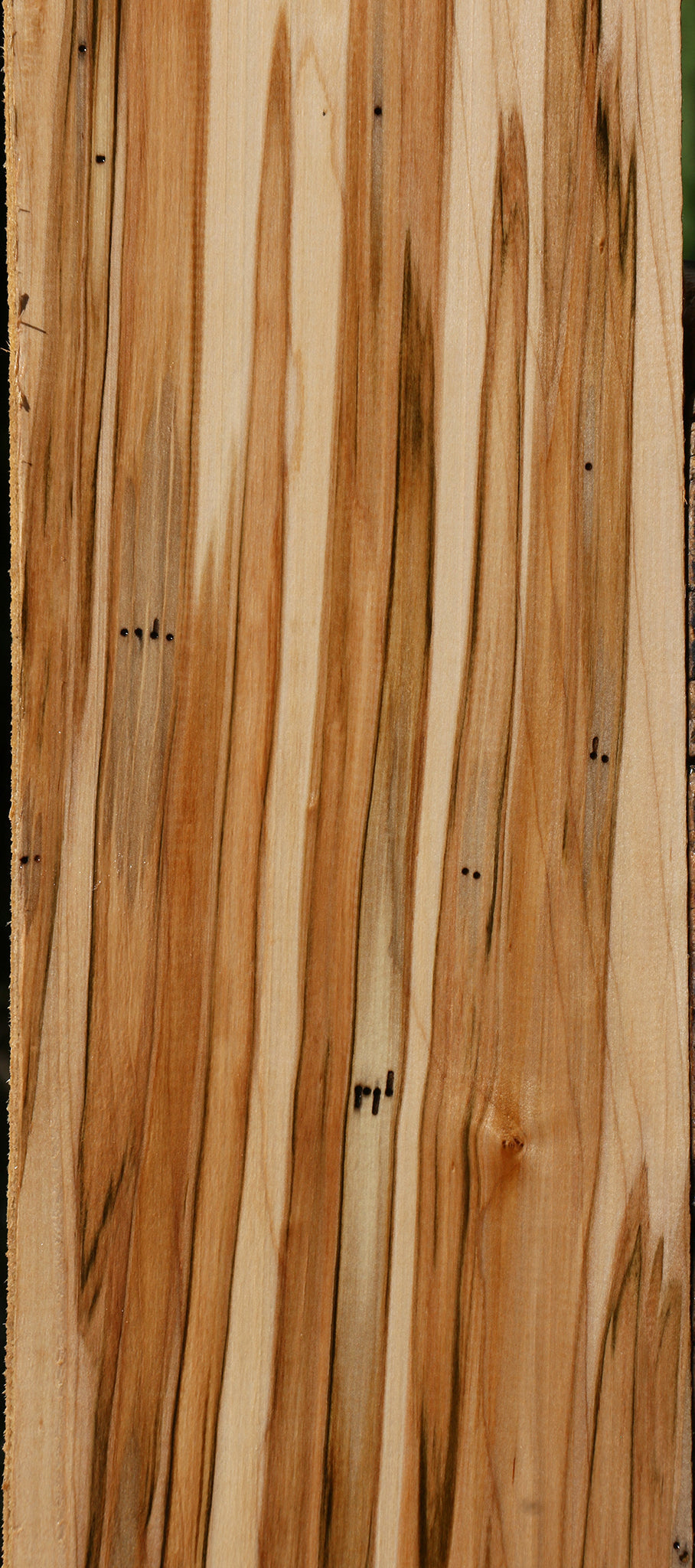 Figured Ambrosia Maple Lumber