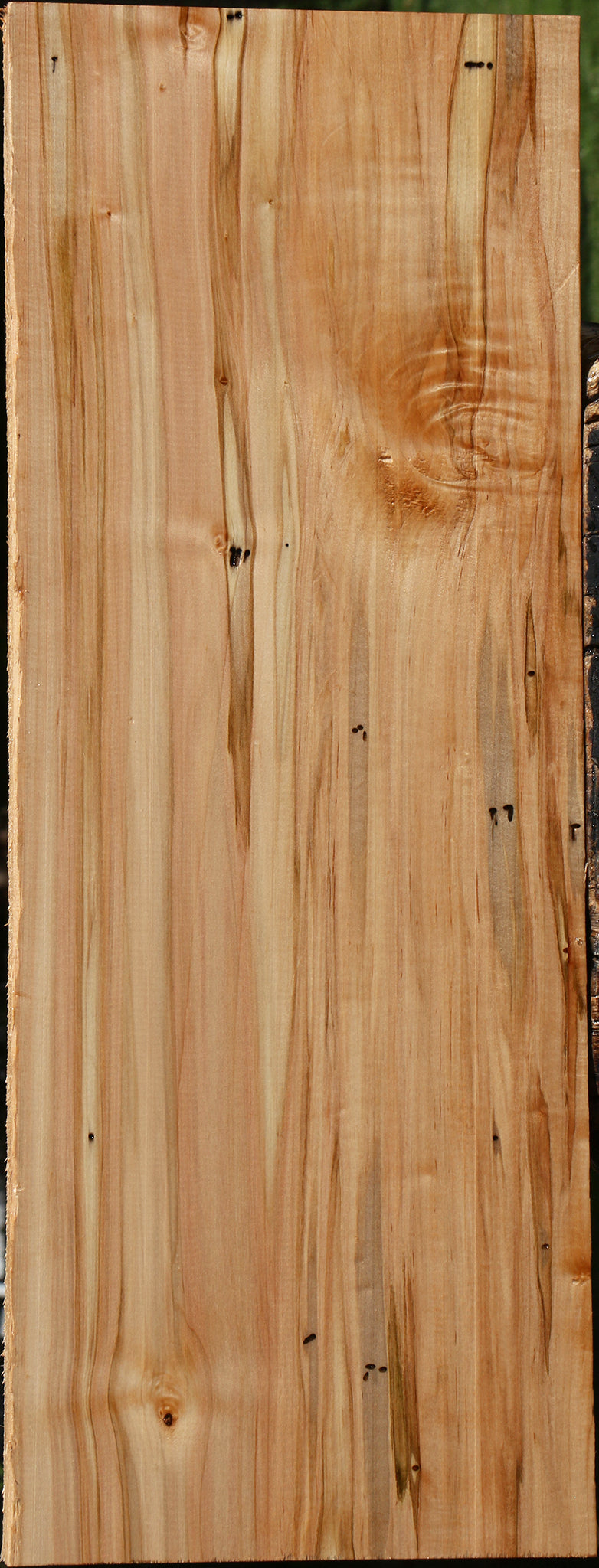 Figured Ambrosia Maple Lumber