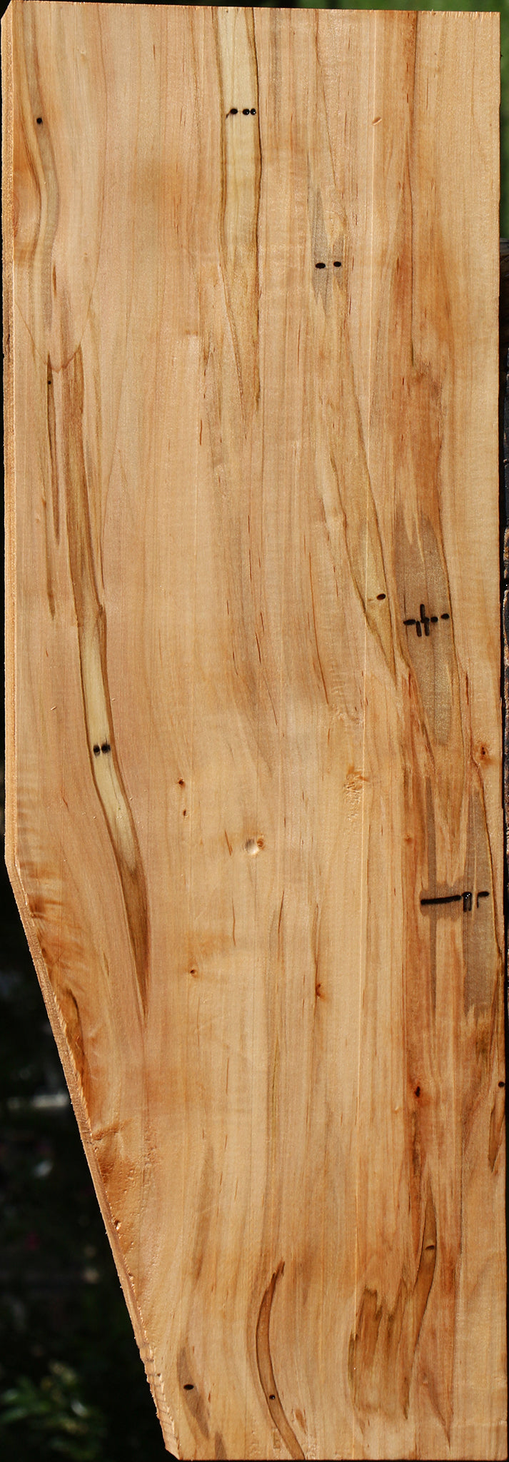 Figured Ambrosia Maple Lumber