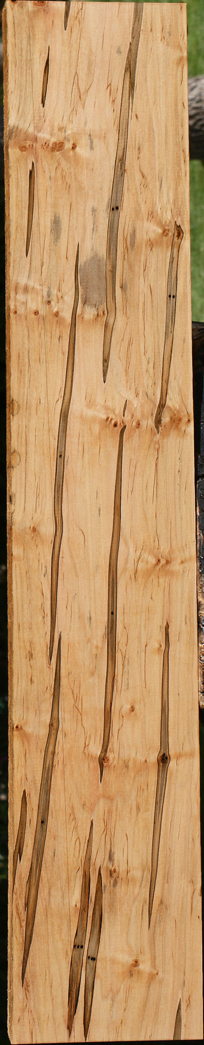 Ambrosia Maple Lumber