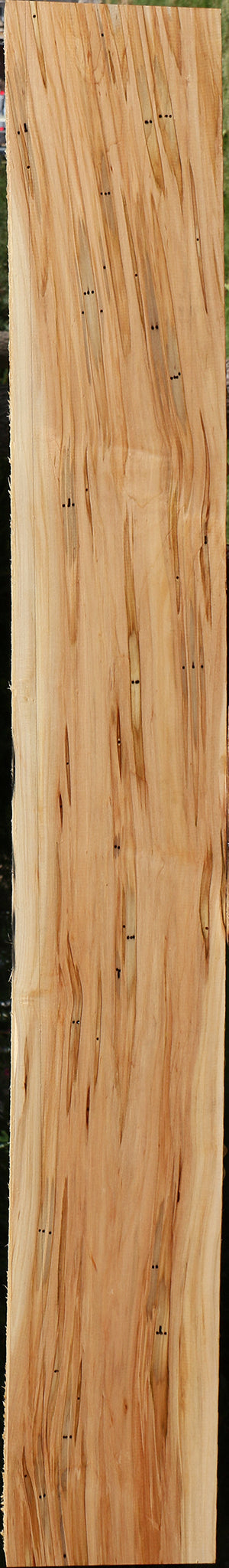 Figured Ambrosia Maple Lumber