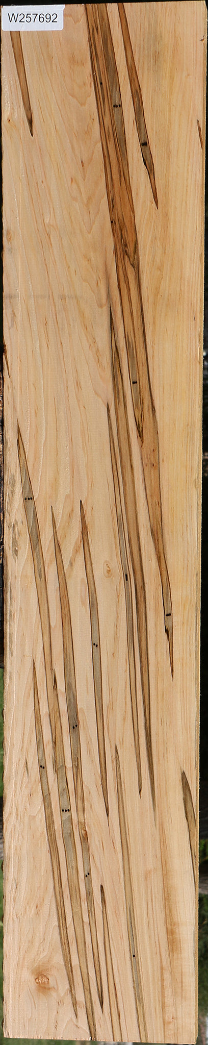 Figured Ambrosia Maple Lumber