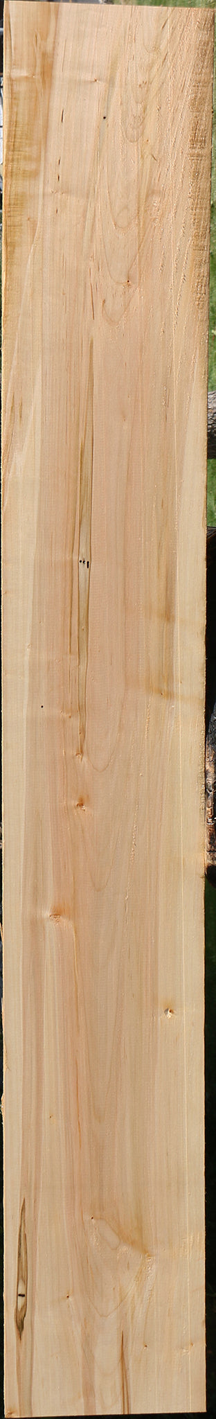 Ambrosia Maple Lumber