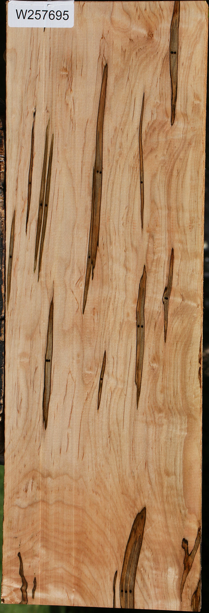 Figured Ambrosia Maple Lumber