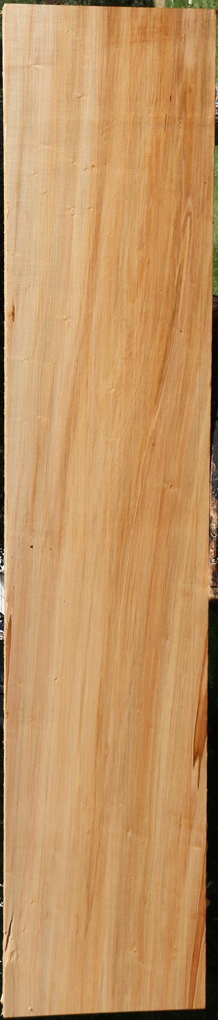 Ambrosia Maple Lumber