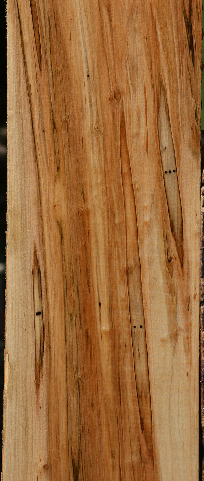 Ambrosia Maple Lumber
